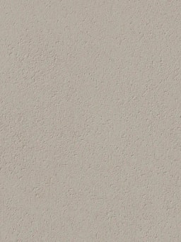 Moleskin Smooth