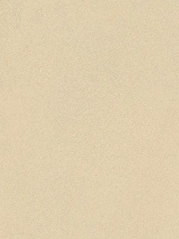 Papyrus Polished