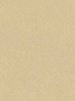 Clay Mineral