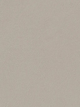 Moleskin Polished