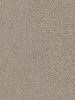 Moleskin Polished