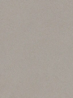 Moleskin Polished