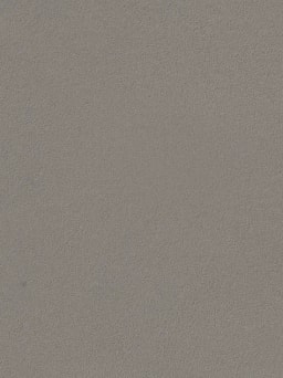 Moleskin Polished