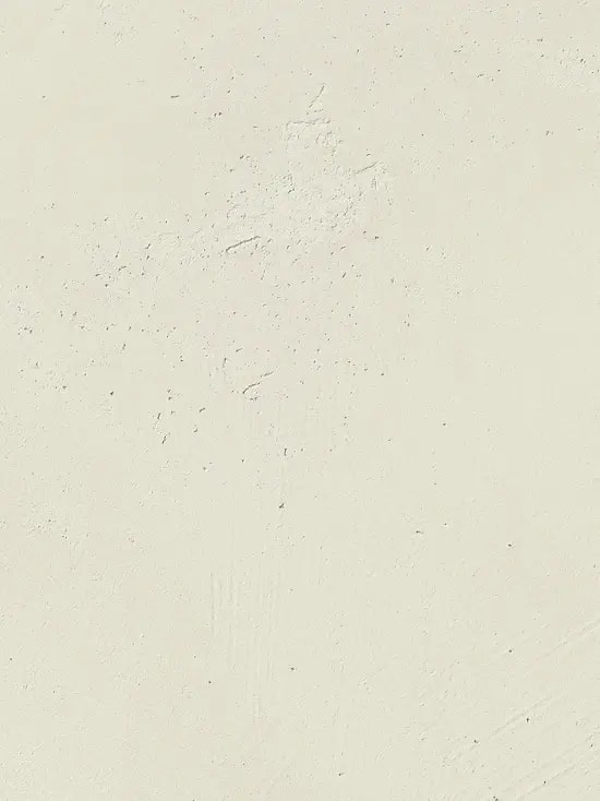 Snow (202)