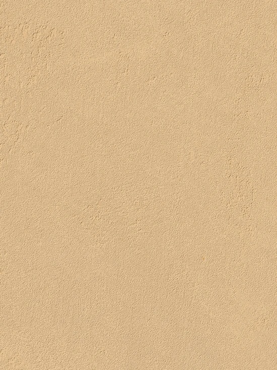 Shell (262)